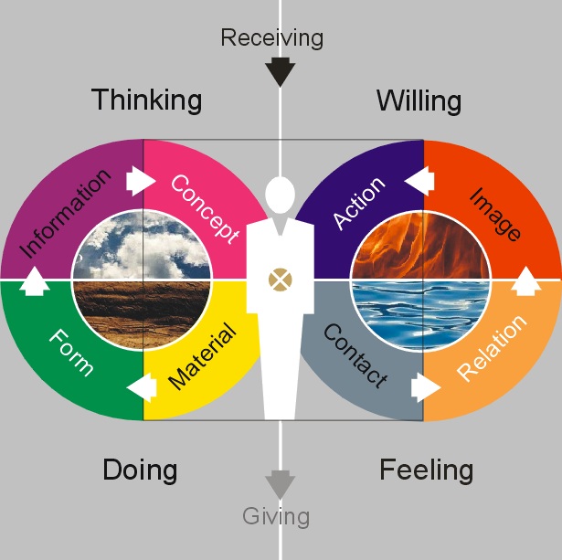 Mindmap Male Mindmap Male